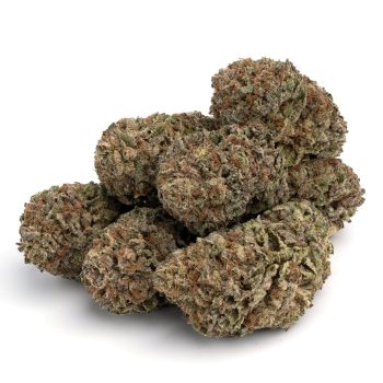 Grape Ape weed strain