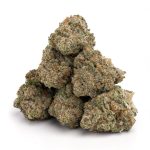 Jack Herer Weed Strain