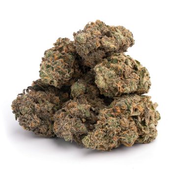 Purple Haze wee strain