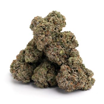 Purple Trainwreck weed strain